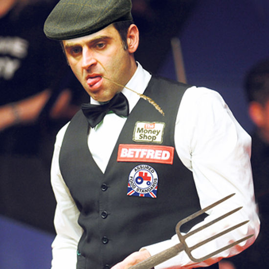 明尼苏达森 明尼苏达森