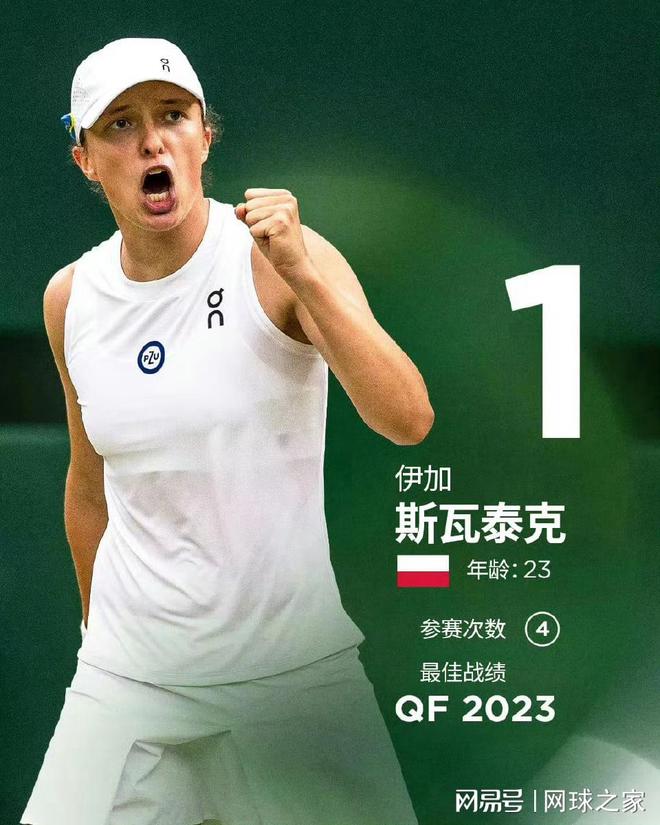 技艺的理解 技艺的理解