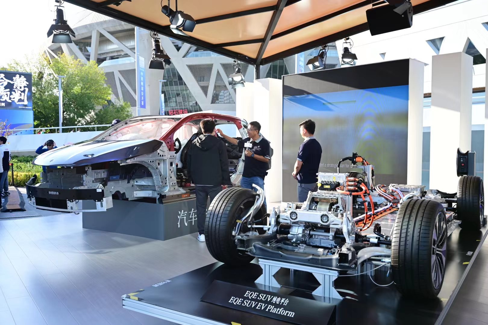 新来的明星 新来的明星