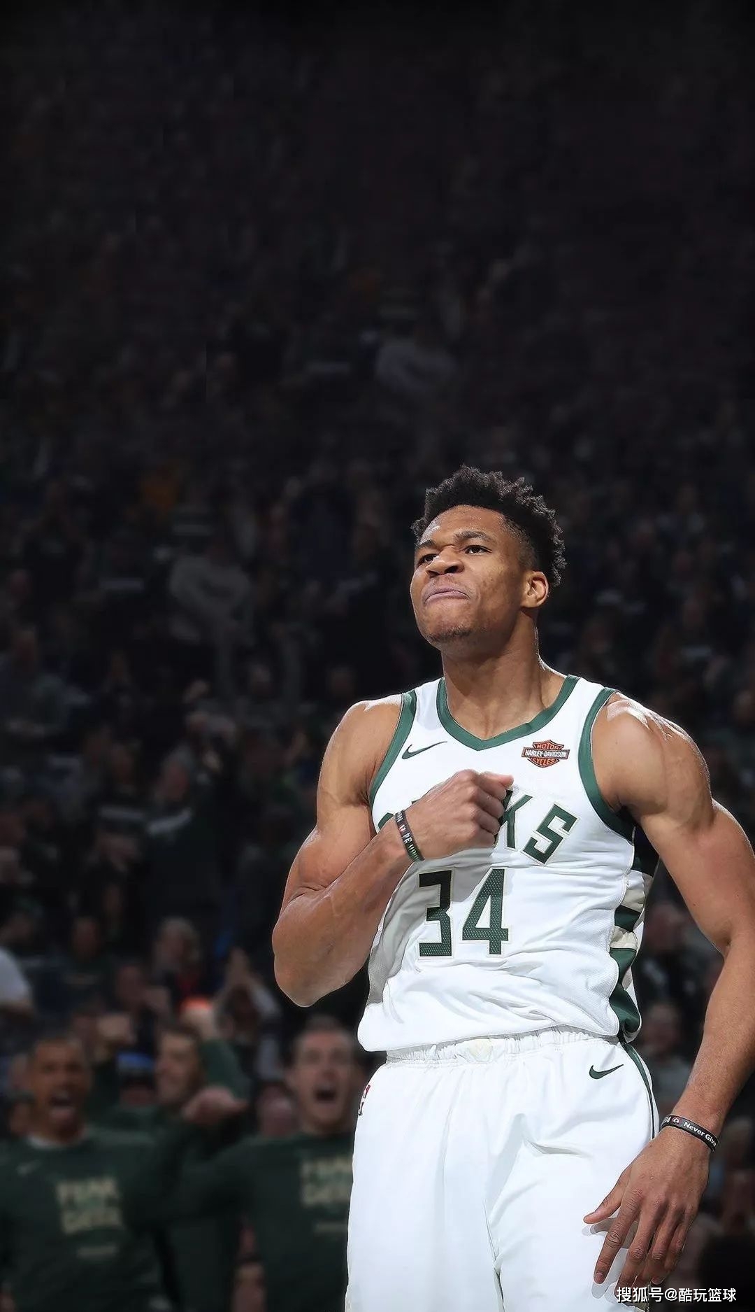 了同一个评 了同一个评